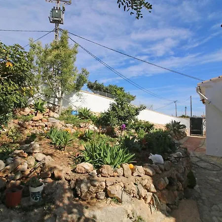 Mimosa - Costa Calpe